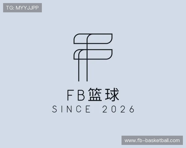 认识FB篮球
